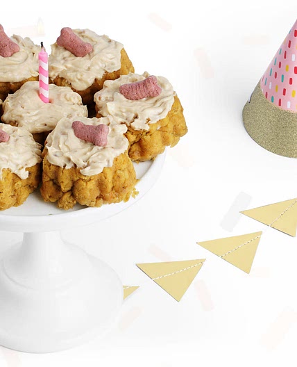 Pumpkin Peanut Butter Dog Cake