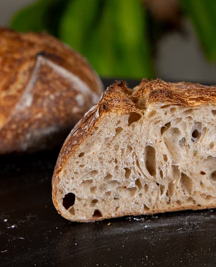 BASIC SOURDOUGH BREAD — THE REGULAR CHEF