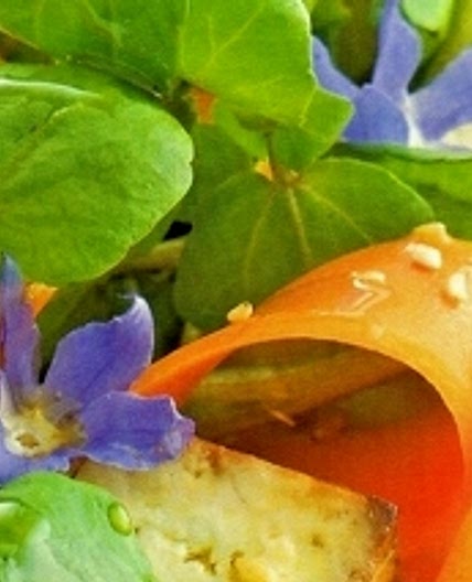 Roasted Tofu, Watercress and Carrot Salad with Sesame Orange Dressing