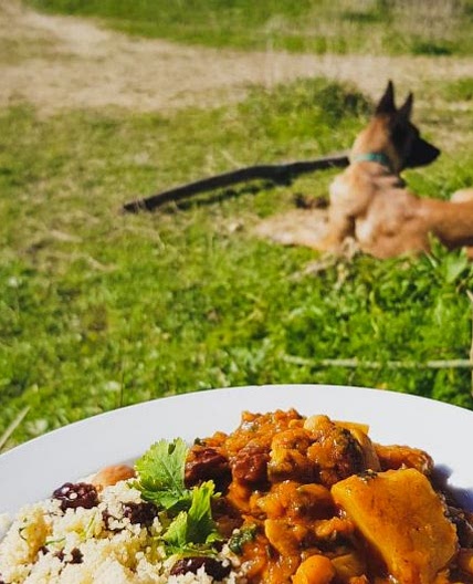 Campervan Moroccan inspired stew
