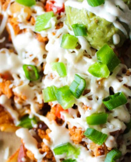Taco Fries