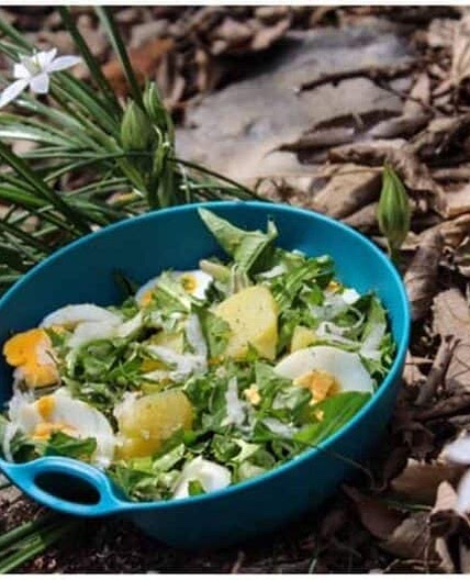 Dandelion salad