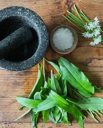Wild garlic pesto