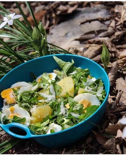 Dandelion salad