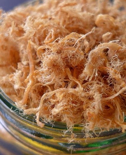 Homemade Meat Floss (肉松)