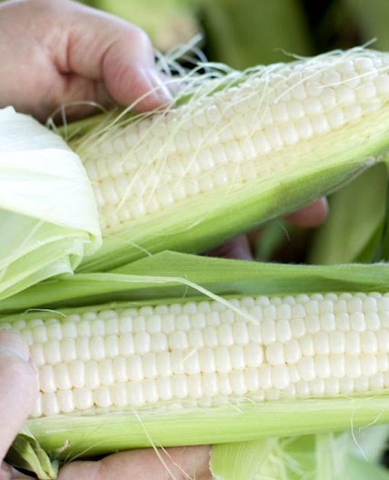 Sagaponack Corn Pudding | Recipes