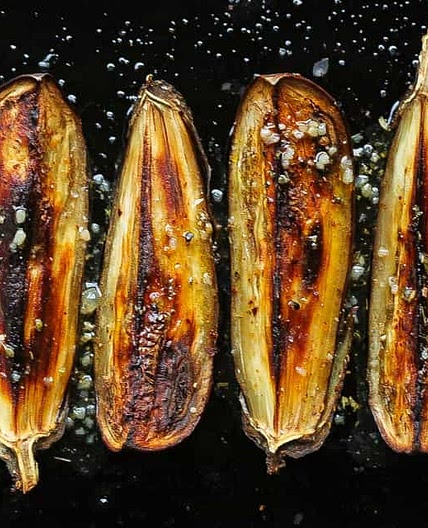 Smoky Roasted Eggplant w/ Cuban Mojo Sauce