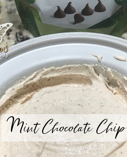 Mint Chocolate Chip Ice Cream
