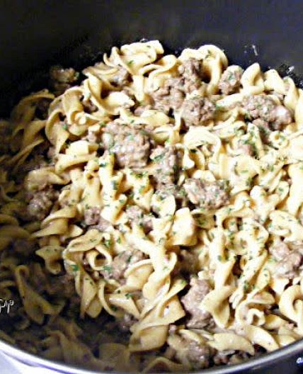 Beef Stroganoff- Instant Pot