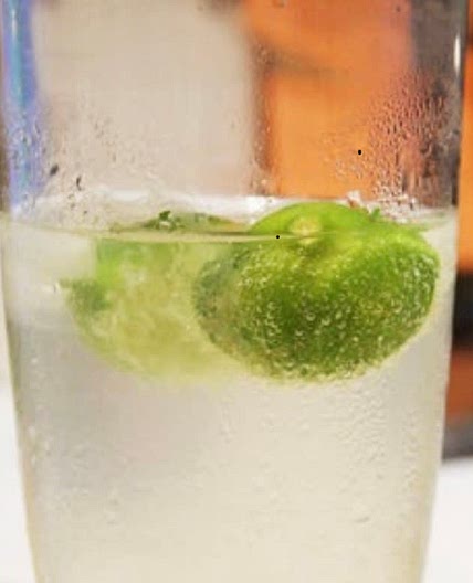 Batch Gin & Tonic
