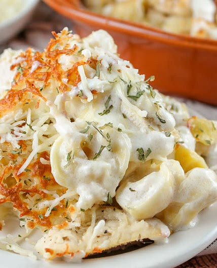 Olive Garden's Asiago Tortelloni Alfredo with Grilled Chicken