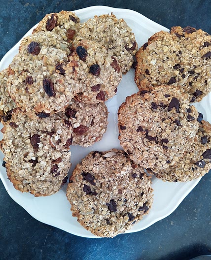 Oat bisciuts fit