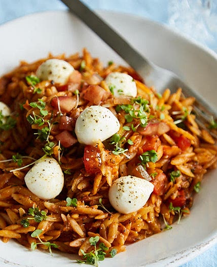 Tomaten-Orzo-Risotto