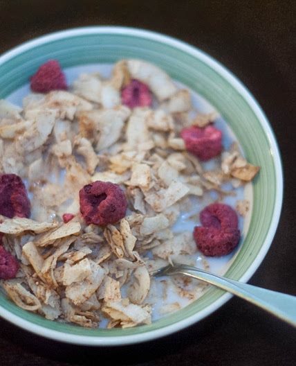 Cinnamon Coconut Crisp Cereal (AIP) - AIP Sisterhood