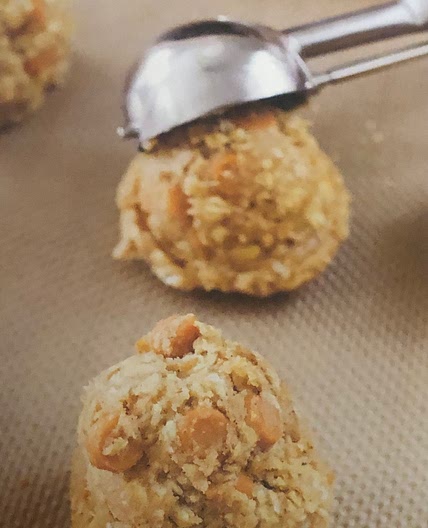 Oatmeal Scotchies