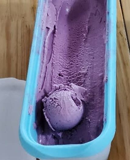 Sugar Free Blueberry Frozen Yogurt