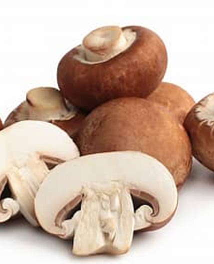 Dried Mushroom