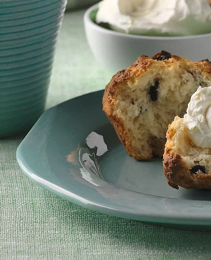 Blåbärsscones med cream-cheese