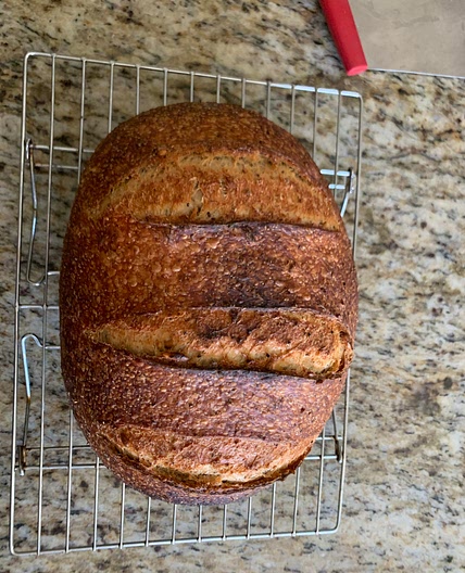 High protein sourdough