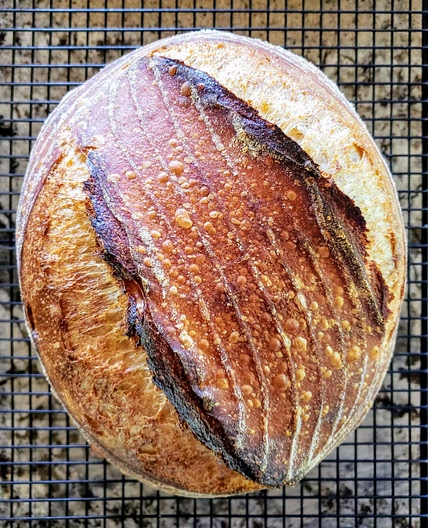 Veronique's best sourdough bread (revised 2/28/25)