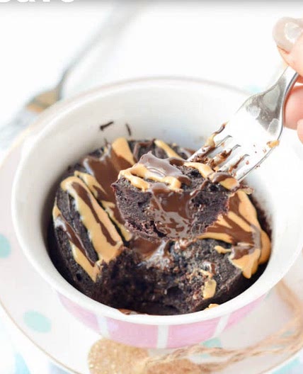 Low Carb Chocolate Mug Cake