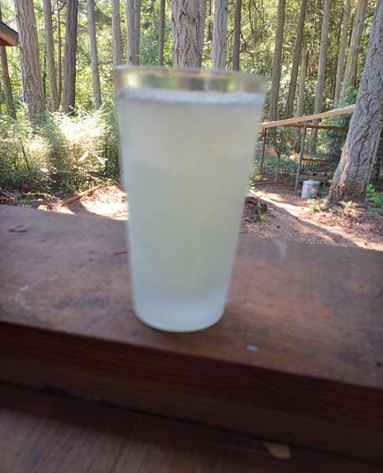 Lemon or Limeaid
