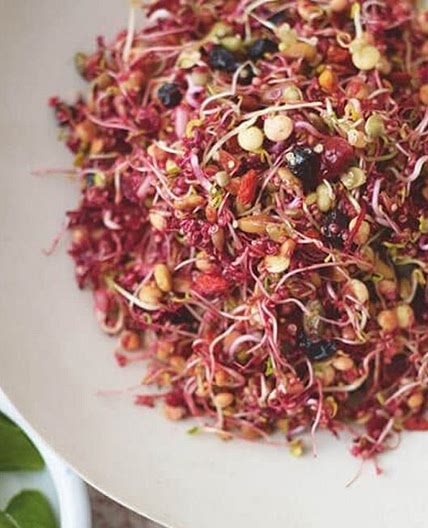 Vegan quinoa and beetroot salad