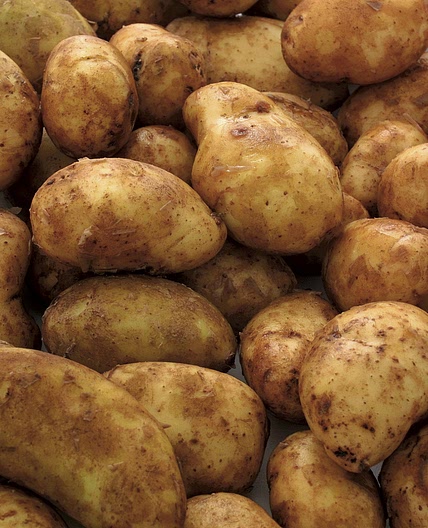 New Potatoes with Bacon and Onion