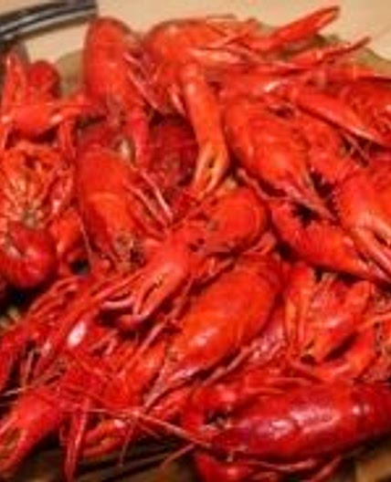 How Long To Boil Crayfish Recipe