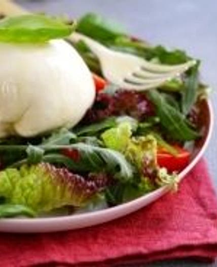 Burrata Recipe