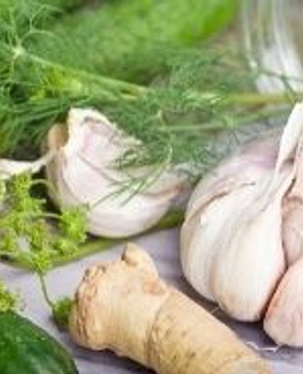 Pickled Fennel Recipe