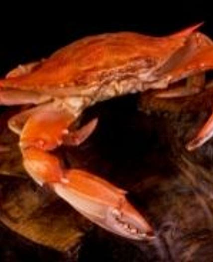 How To Cook Crabs Recipe