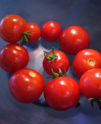 Quick Tomato Salad