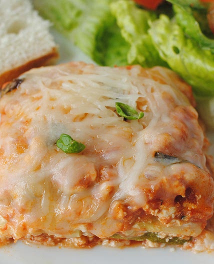 Very Low Calorie Lasagna