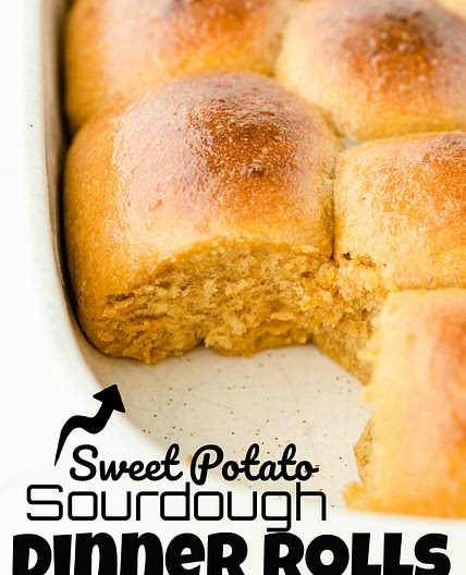 Sweet Potato Sourdough Rolls