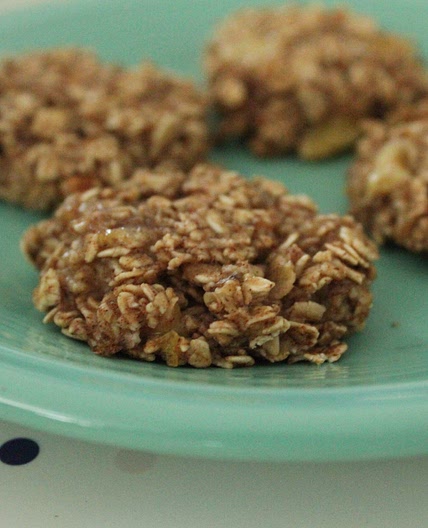Jenny Craig Recipe Creation: Oatmeal Breakfast Cookies | No Thanks to Cake