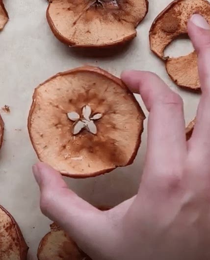 Healthy Cinnamon Apple Chips