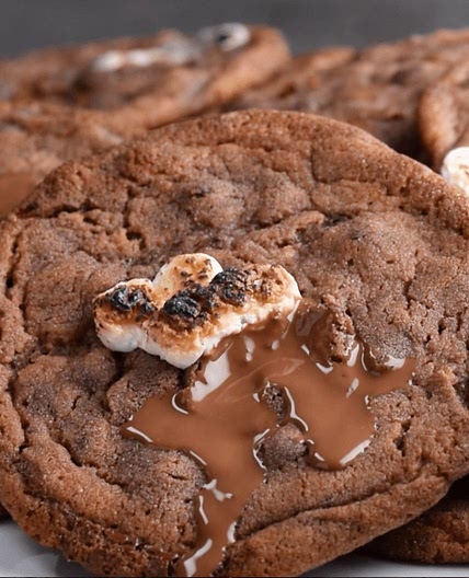 Hot Cocoa Cookies