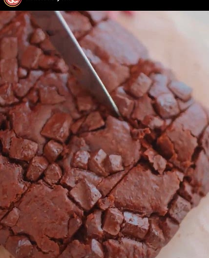 Chocolate Chip Brownie