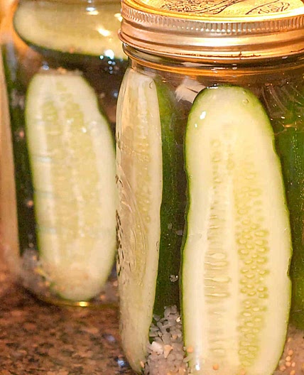 Refrigerator Kosher Dill Pickles