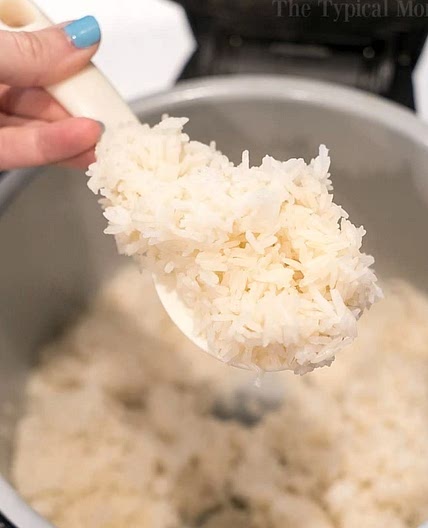 Rice in Ninja Foodi