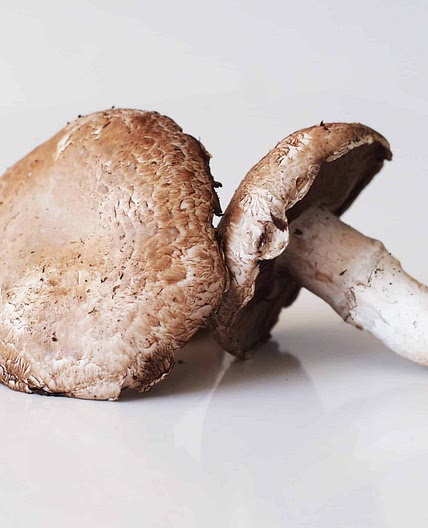 Portobello (Portabella) Mushrooms for Babies - Solid Starts