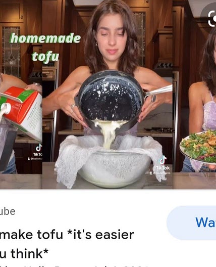 Hommade tofu