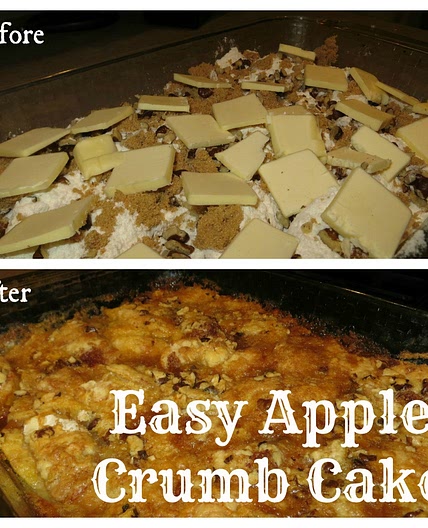 Apple Crumb Cake