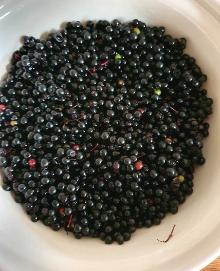 Elderberry Syrup