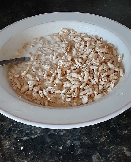 Protein Cereal from Exercise4cheatmeals
