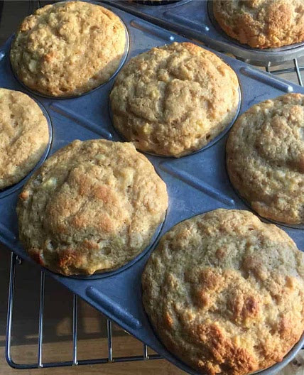 EASY WW KODIAK CAKES MUFFINS - Free Style in KItchen