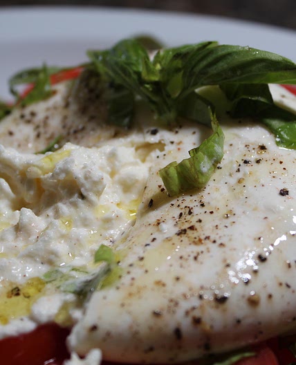 Burrata and tomato salad 