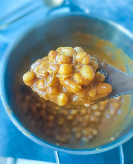 Butter chicpea curry