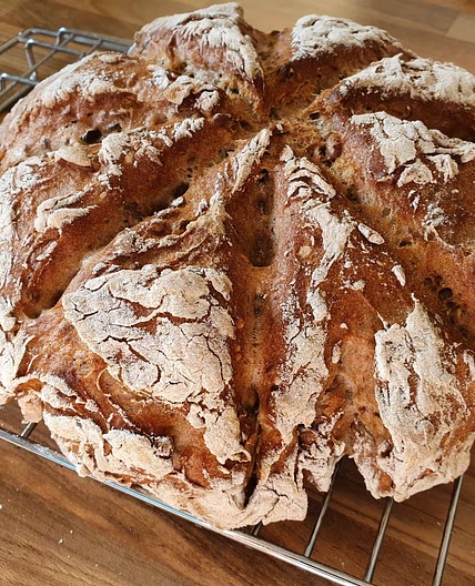 Brot glutenfrei